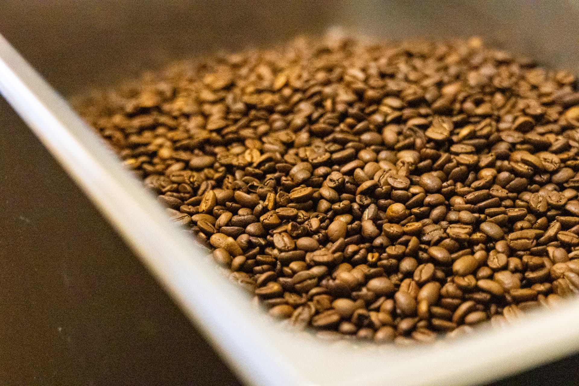 Freshly roasted coffee beans cooling in the Death of the Fox roastery